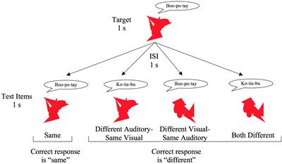 Bimodal Presentation Speeds up Auditory Processing and Slows Down Visual Processing